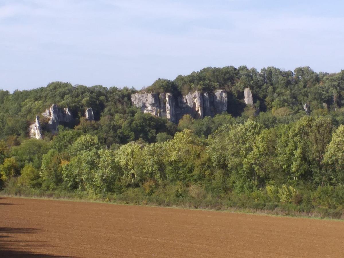 Willa Maison Pour Nombreuses Personnes Pousseaux Zewnętrze zdjęcie